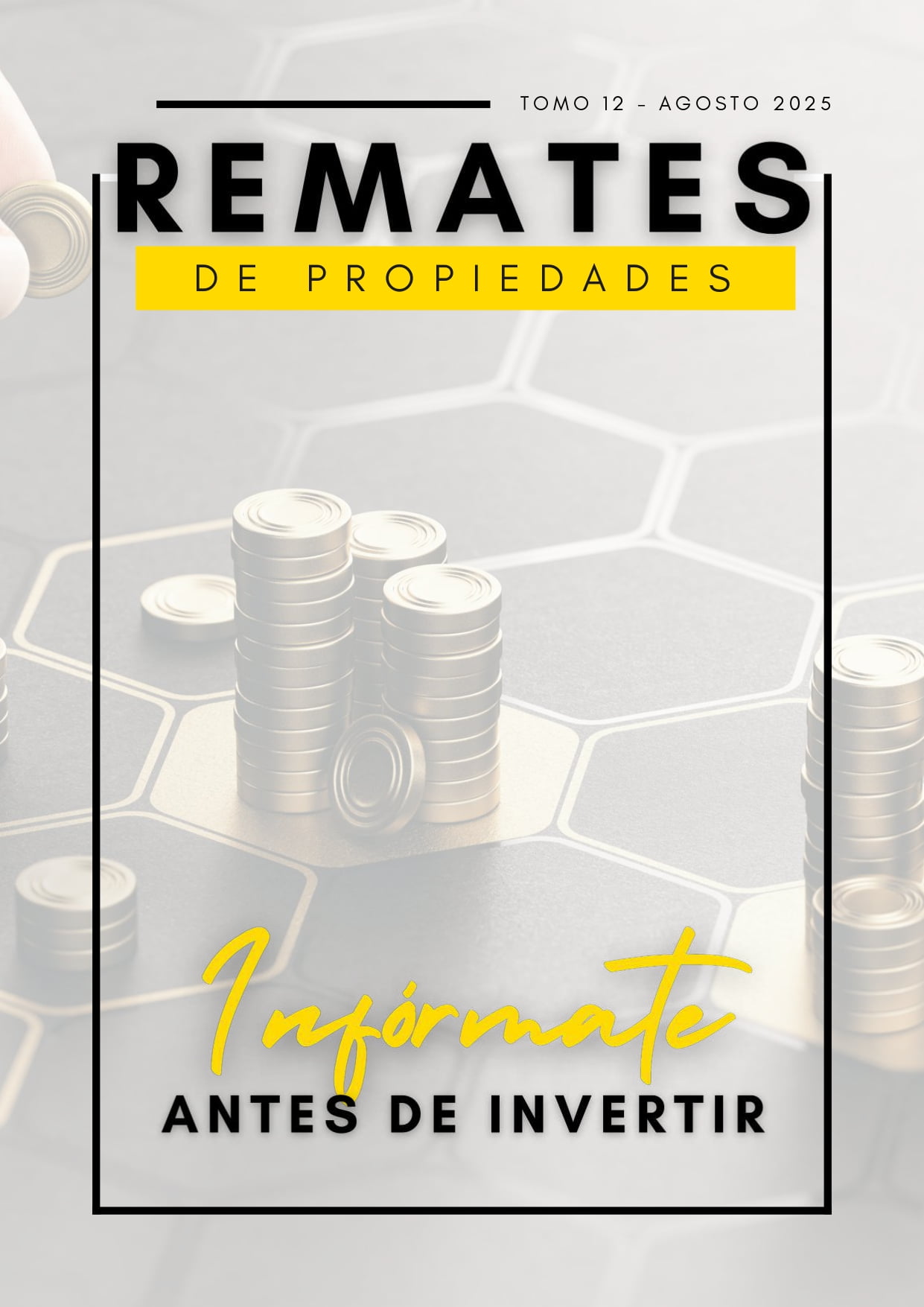 Edición 12 - Revista Remates de Propiedades