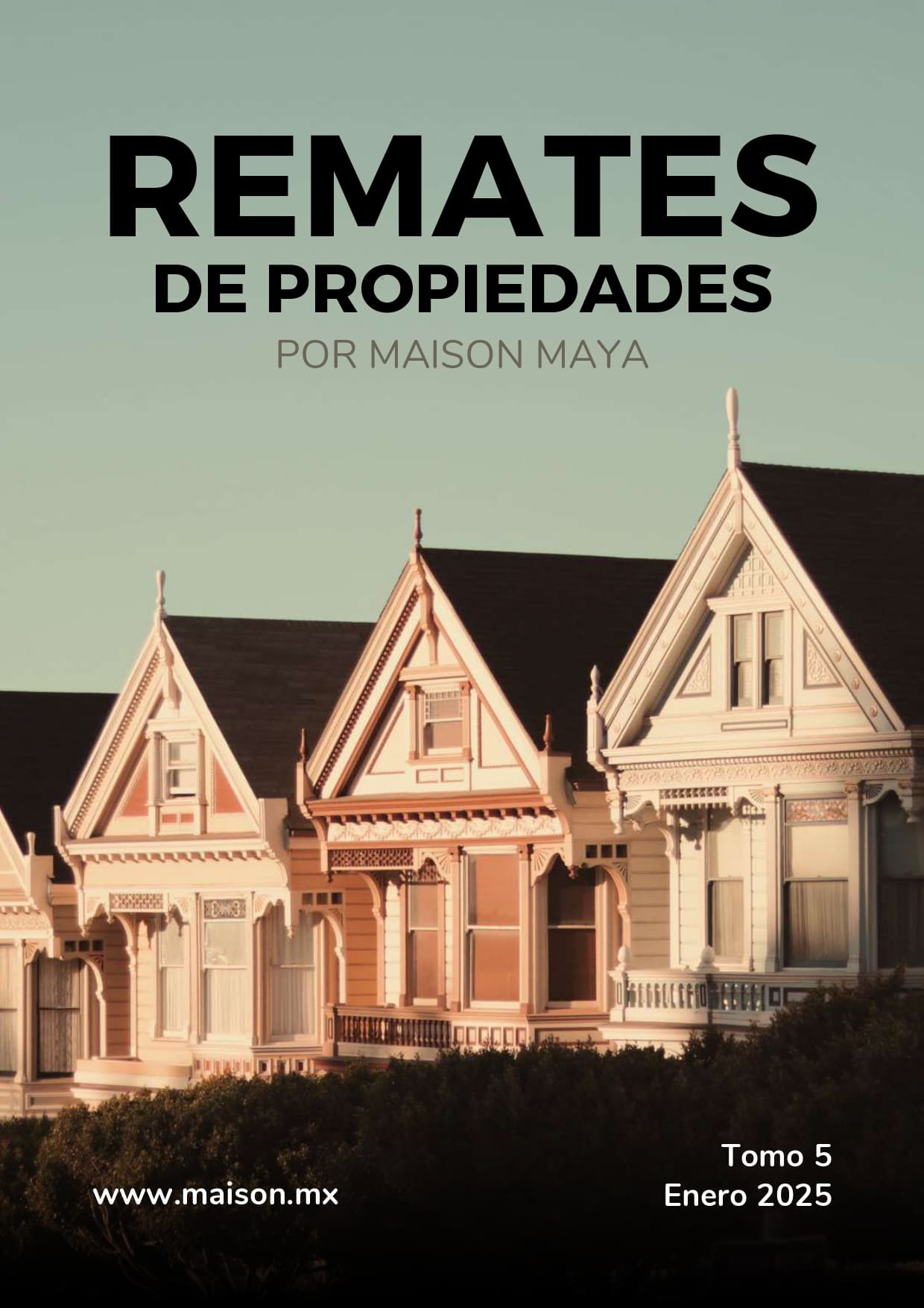 Edición 5 - Revista Remates de Propiedades