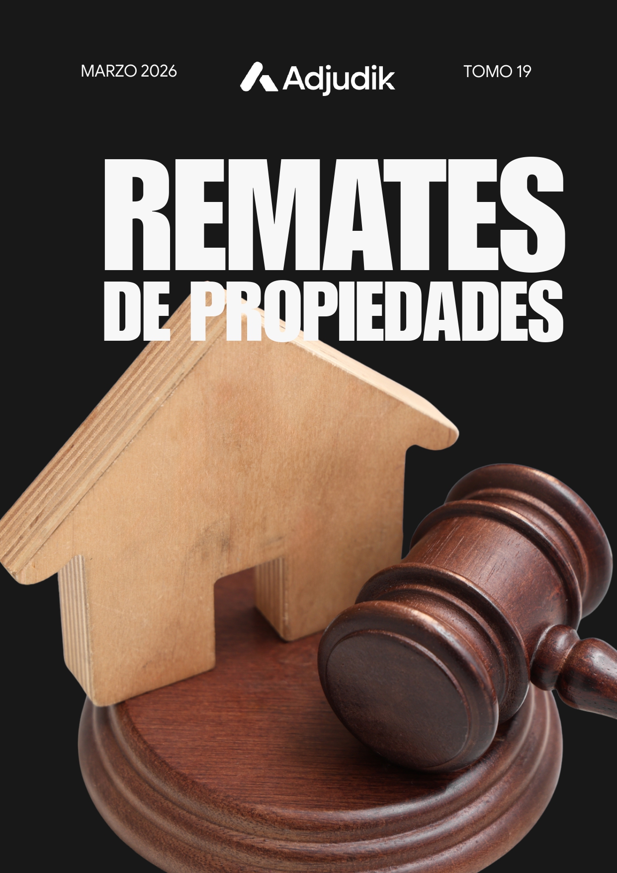 Edición 19 - Revista Remates de Propiedades