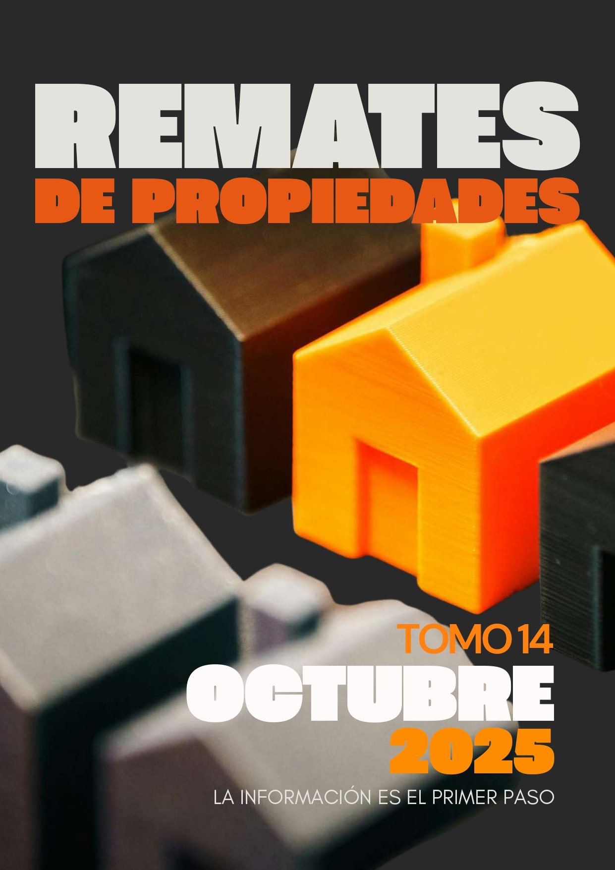 Edición 14 - Revista Remates de Propiedades