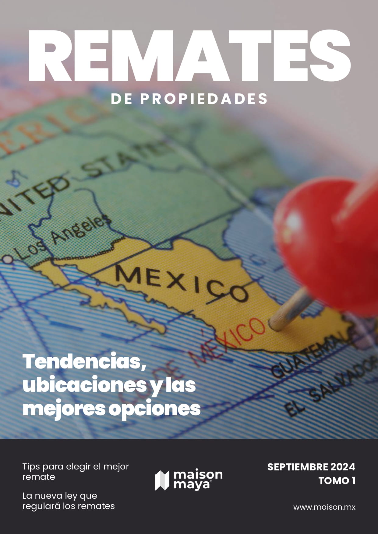 Edición 1 - Revista Remates de Propiedades